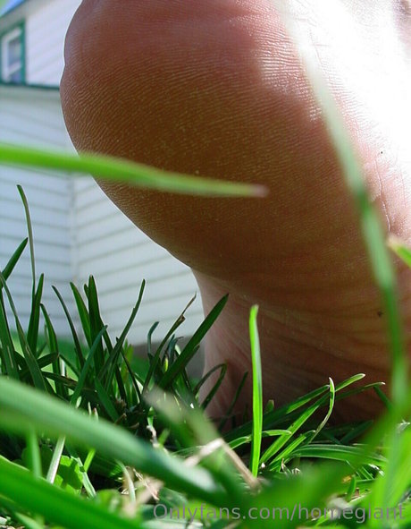 homegiant star beautiful picture