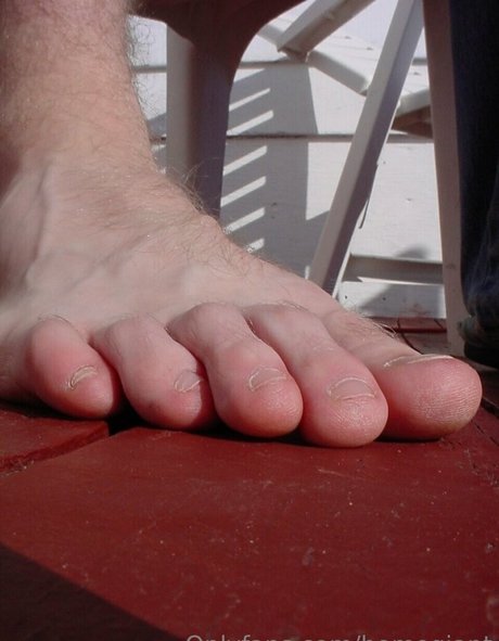 homegiant art actress images