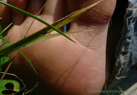 homegiant model perfect image