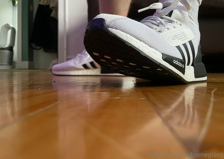 homegiant star picture