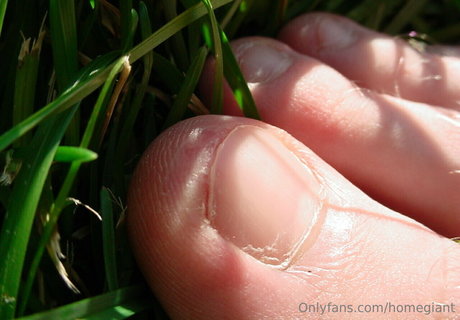 homegiant exclusive star gallery