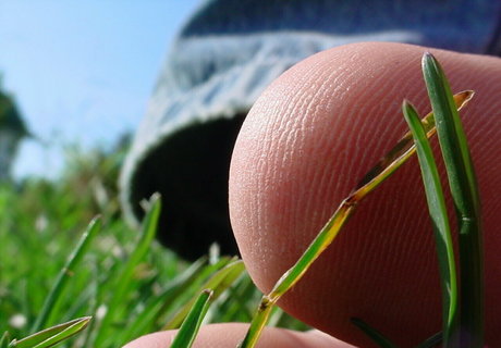 homegiant erotic model image