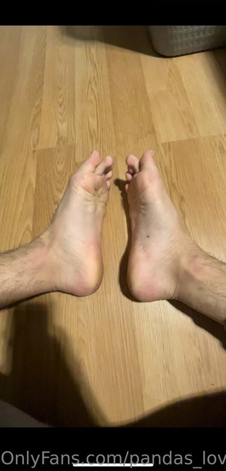 pandas lover model hd pictures