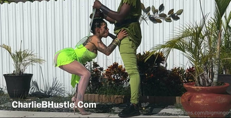 bigmingo model sexy galleries