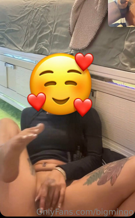 bigmingo sexy star archive