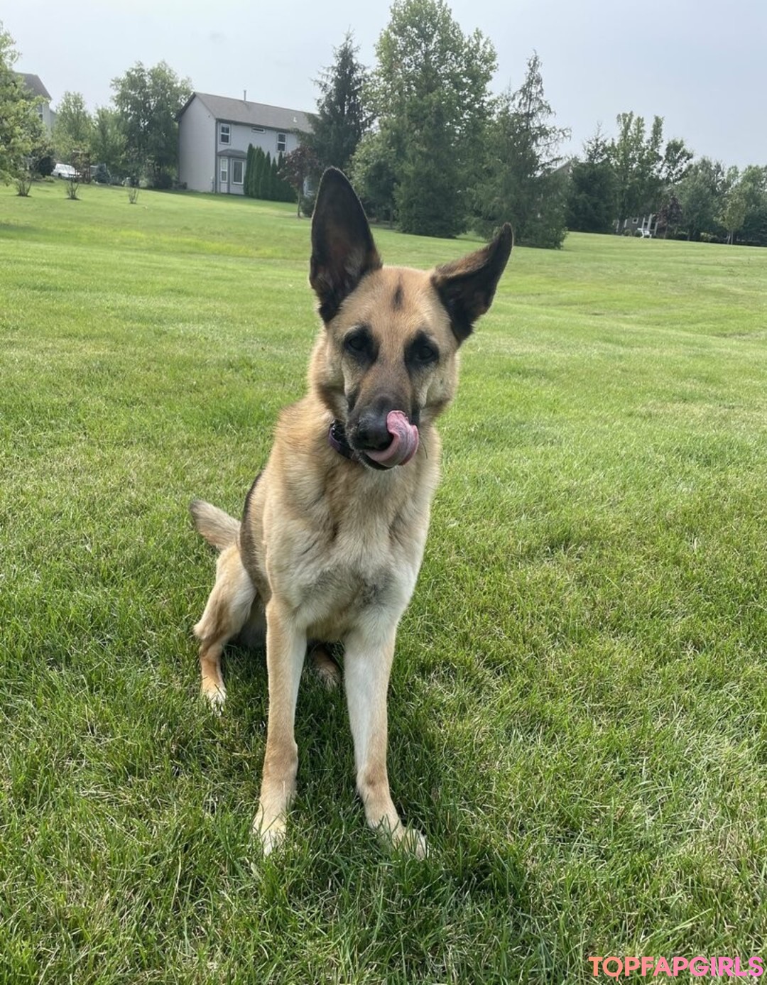 asmr free onlyfans hd pic