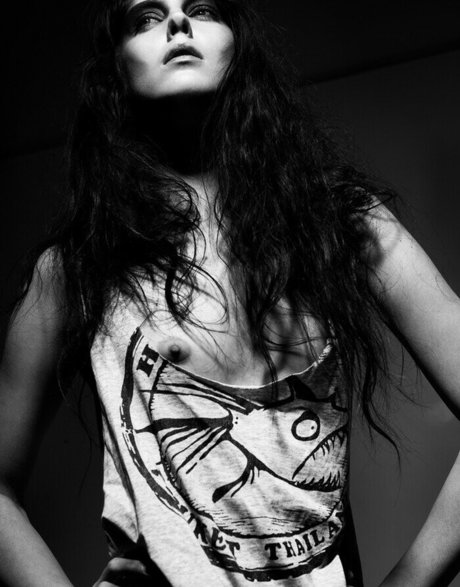 Bec Paws perfect star galleries