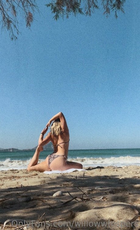 willowwhispers art model img