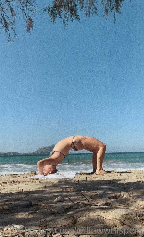 willowwhispers star xxx pictures