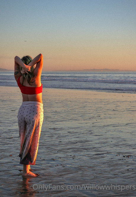 willowwhispers top actress galleries