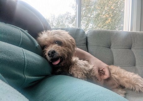 nude pregnant onlyfans pretty picture