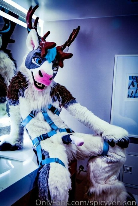 spicyvenison top model pictures