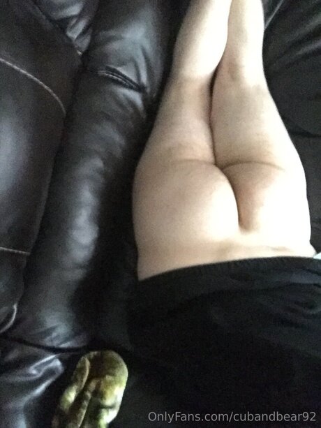 cubandbear92 pornstar best picture