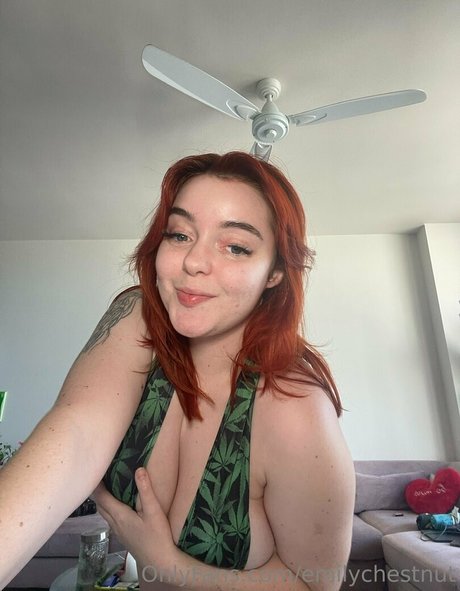 emilychestnut beautiful star pictures