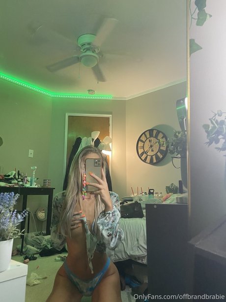 Offbrandbrabie nice star galleries