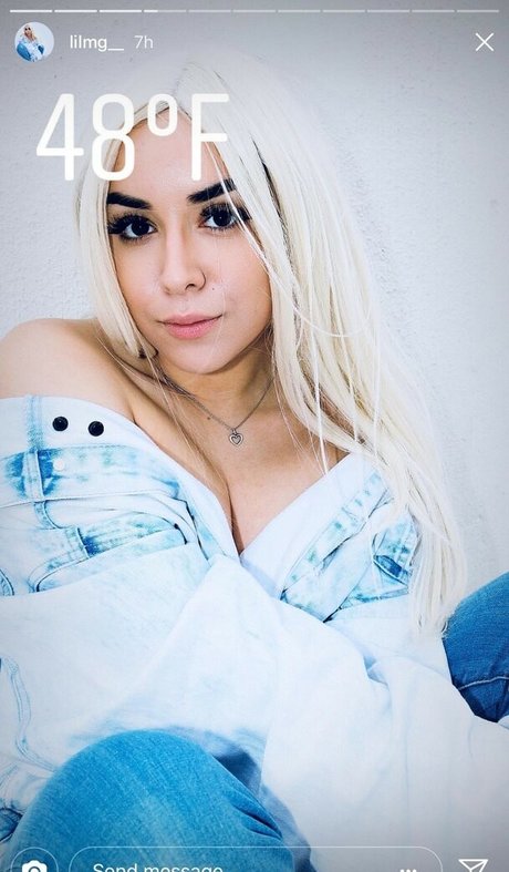 Lilmg_ art star gallery