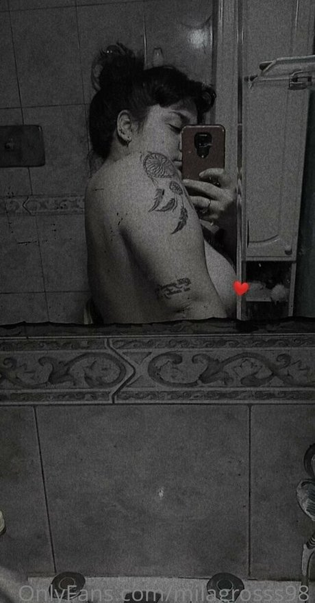 Mili model top picture