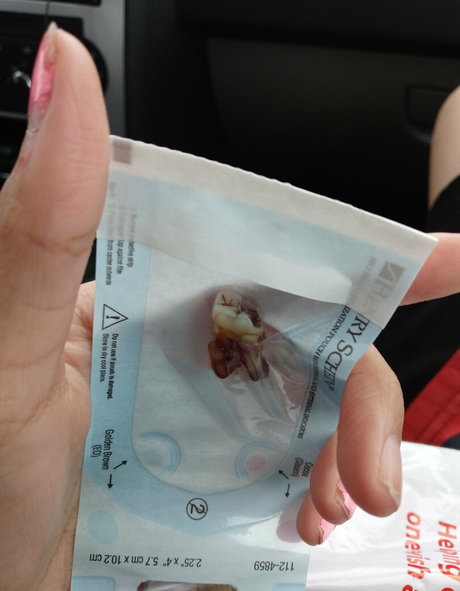 alicelexington star porn archive