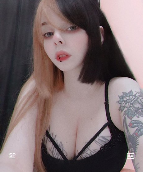 xmvndsx model best gallery