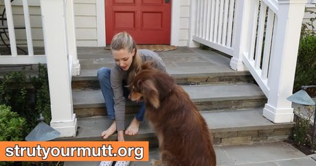 Amanda Seyfried pornstar high quality picture