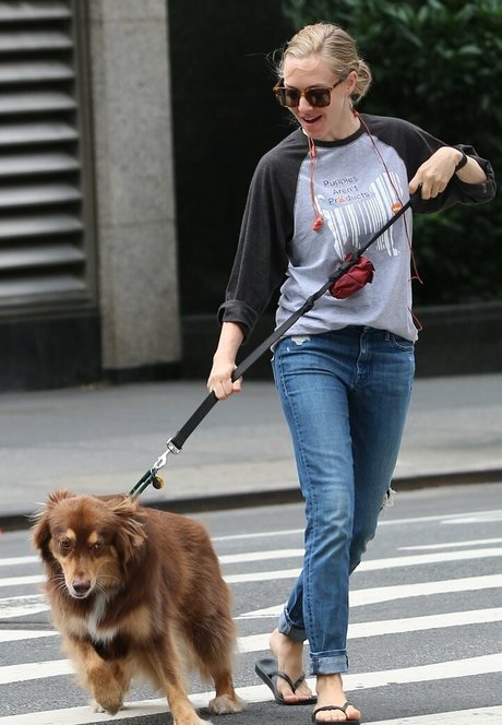 Amanda Seyfried pornstar adult gallery