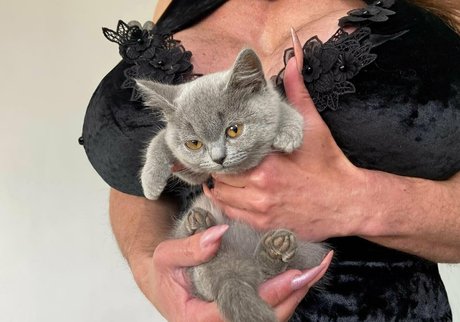 Lalliboop art pornstar picture