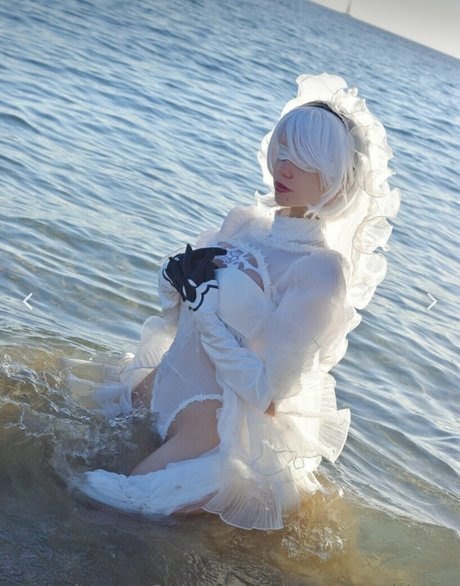 Soft Kotton star perfect img