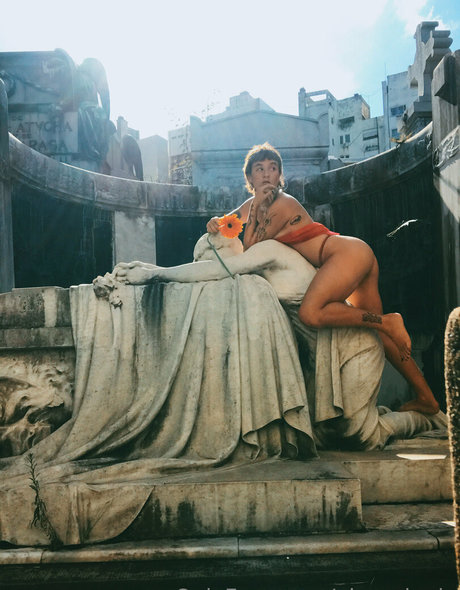 alegrologia Quick model image