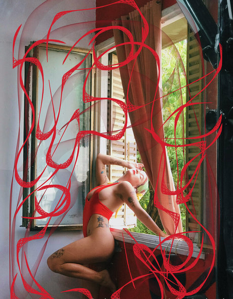 alegrologia nice star picture