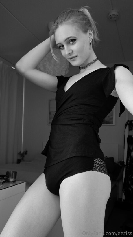 eeziss art pornstar galleries