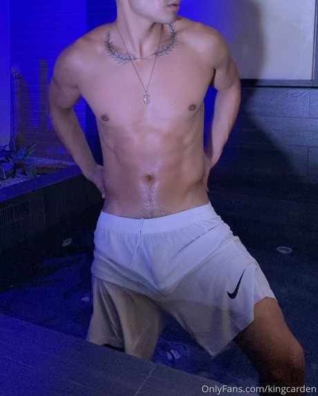 aedanvip star perfect image