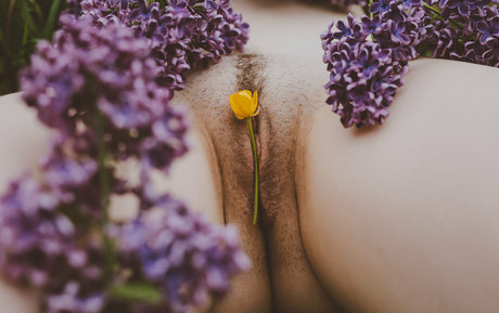 vauntastic star naked pic