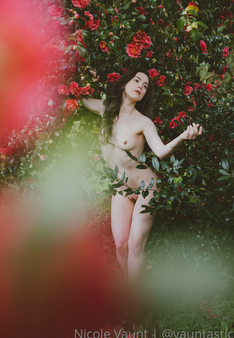 vauntastic pornstar top pics