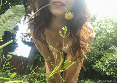 vauntastic Profile pic