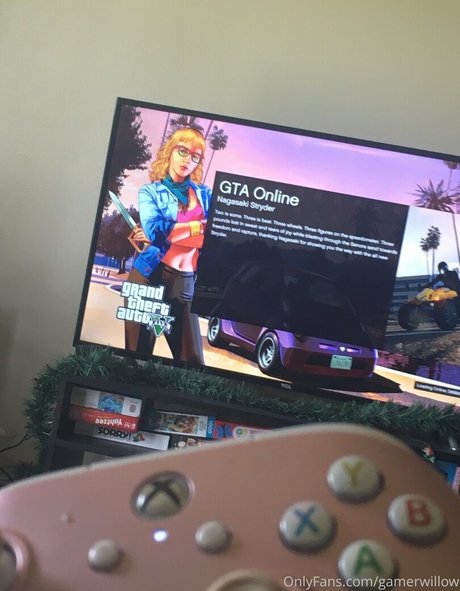 gamerwillow star sex photos