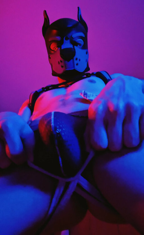 badboxerboy pornographic star picture