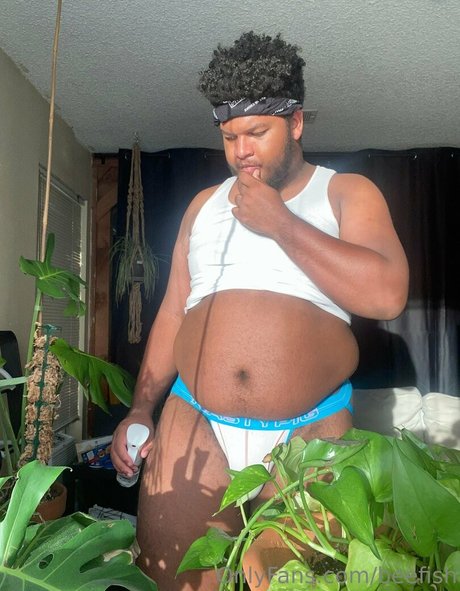 beefish perfect star images