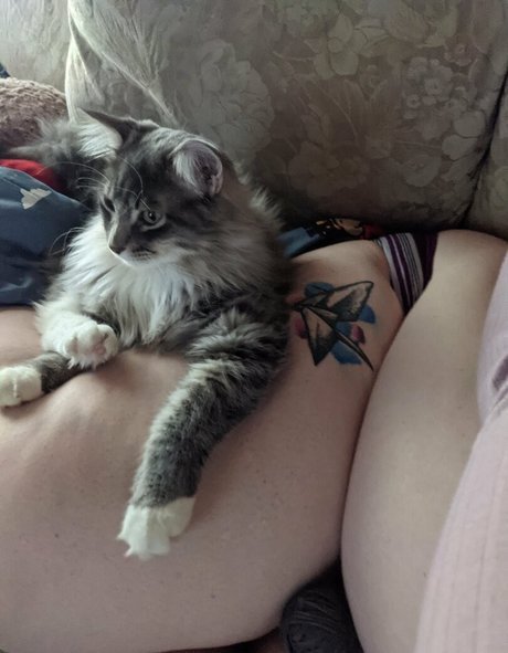 babe onlyfans hd gallery