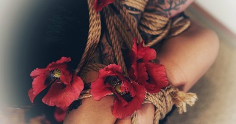 sugarskull bri exclusive actress pics