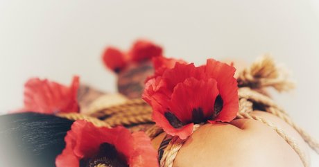 sugarskull bri nudes actress photos