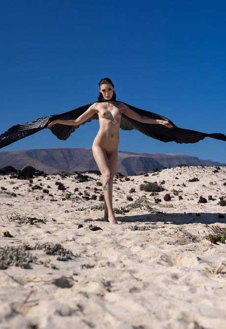 sexy ladyboy onlyfans beautiful nude archive