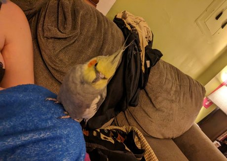 hard fuck onlyfans art porn pic