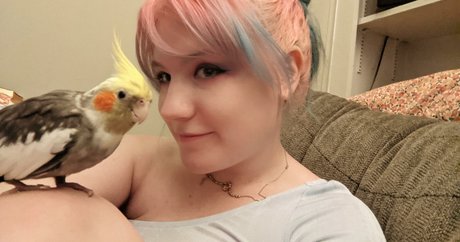 Natalie Minx star nice archive