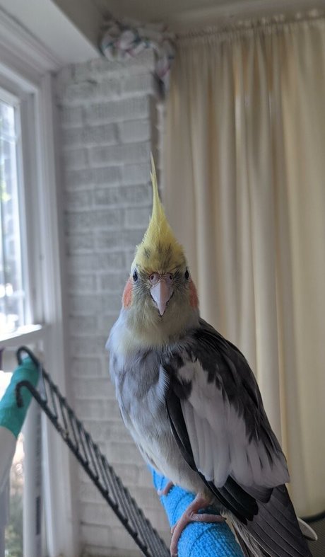 skinny shemale onlyfans perfect images