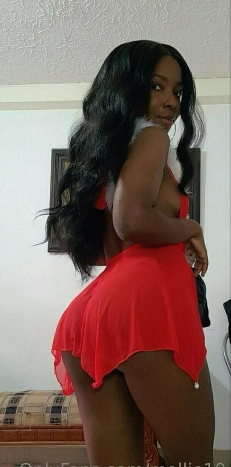 mollie10 top model img