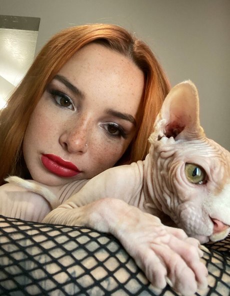 Kencake star beautiful images