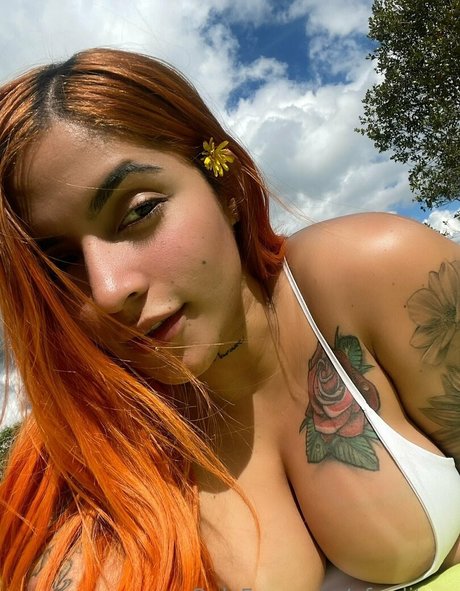 rousse 777 star best photo