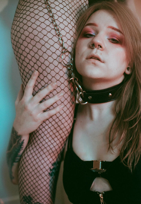 eva evergreene adult star photo