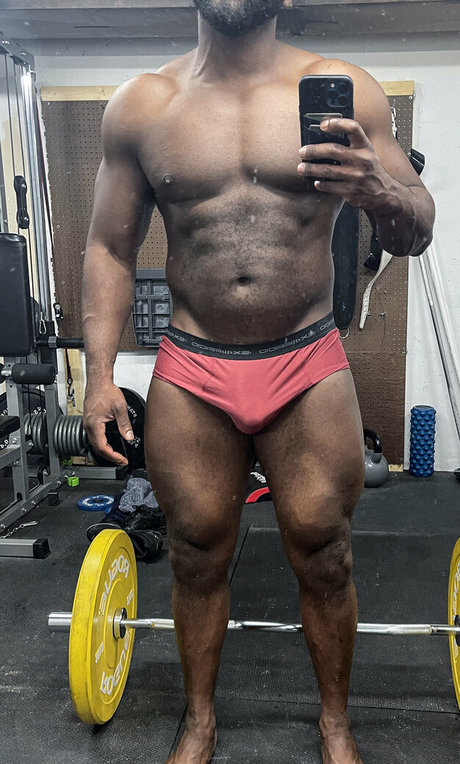 Cuiogeo best model archive