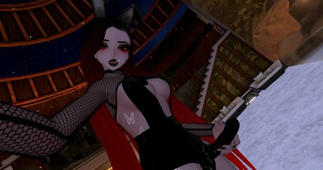 domkurovr perfect star pictures